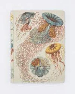 742042875450 Notebook, Haeckel Jellyfish Softcover Dot Grid