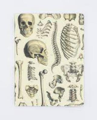 742042875474 Notebook, Skeleton Plate 2 Softcover Lined