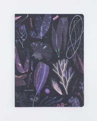 742042875504 Notebook, Seaweed Softcover Lined