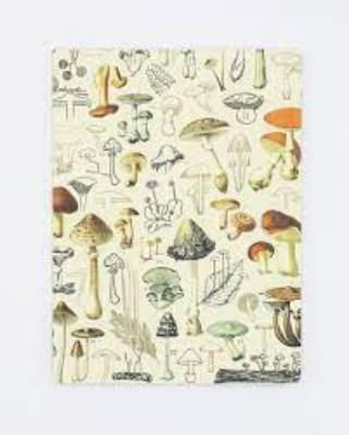 742042875528 Notebook, Mushrooms Plate 2 Softcover Dot Grid