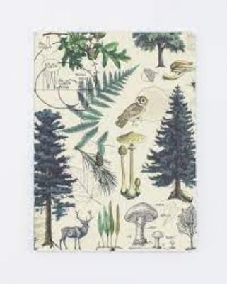 742042875610 Notebook, Forest & Trees Softcover Lined