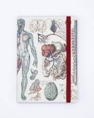 742042883240 Notebook, Anatomy & Physiology Analysis A5 Soft Blnk & Lined