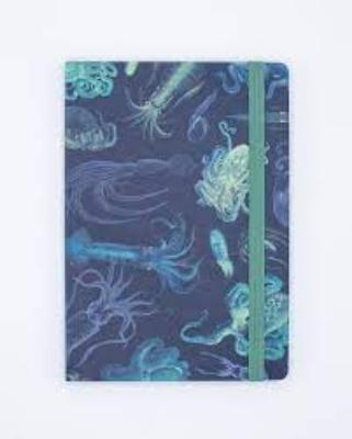 742042883257 Notebook, Sea Monsters Octo & Squid Analysis Soft Blnk & Lin
