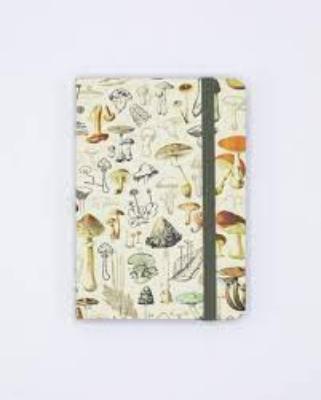 742042883578 Notebook, Mushrooms Observation Softcover Blank