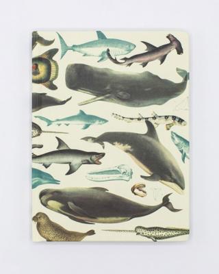 742042884872 Notebook, Whales & Seals Dot Grid Hardcover