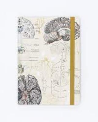 742042887774 Notebook, Brain Observation Softcover Blank
