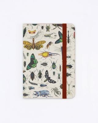 742042887811 Notebook, Butterfly & Beetle Observation Softcover Blank