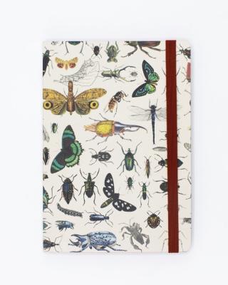 742042887996 Notebook, Butterfly & Beetle Analysis A5 Soft Blnk & Lined