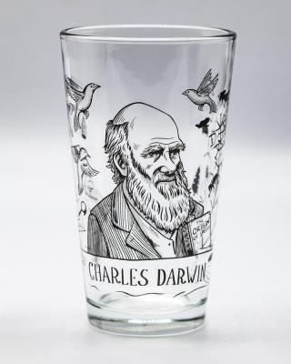 88880028273 Glass, Pint Darwin 16oz