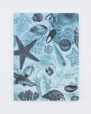 88880032224 Notebook, Shallow Seas Softcover Dot Grid