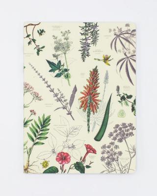 88880033194 Notebook, Medicinal Botany Dot Grid Softcover