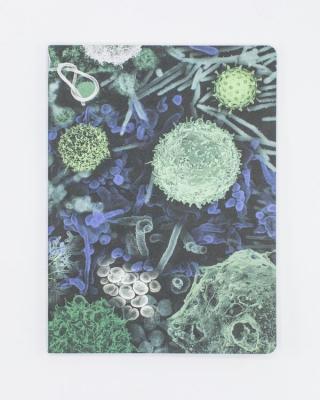 88880033213 Notebook, Infectious Disease Softcover Lined