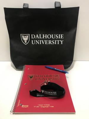 DALCONF Kit, Dal Conference Bag